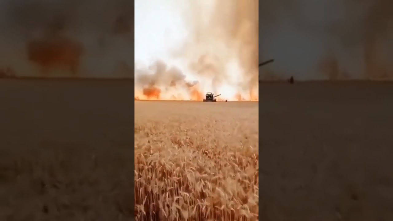 huge fire in the wheat field in India ...#farming #agriculture #fire #nature #tractor