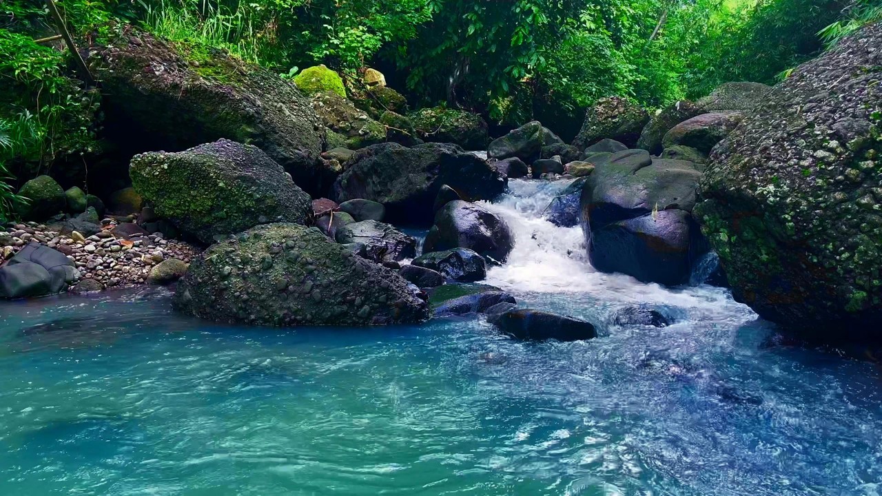 Tranquil River Soundscape for Night Relaxation and Healing | sleep - relax - enjoy life - ASMR