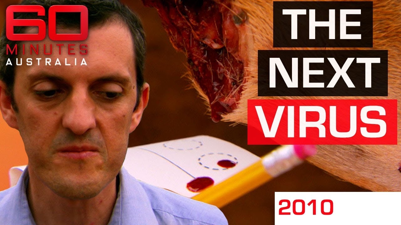 Stopping the next animal virus from causing another pandemic | 60 Minutes Australia