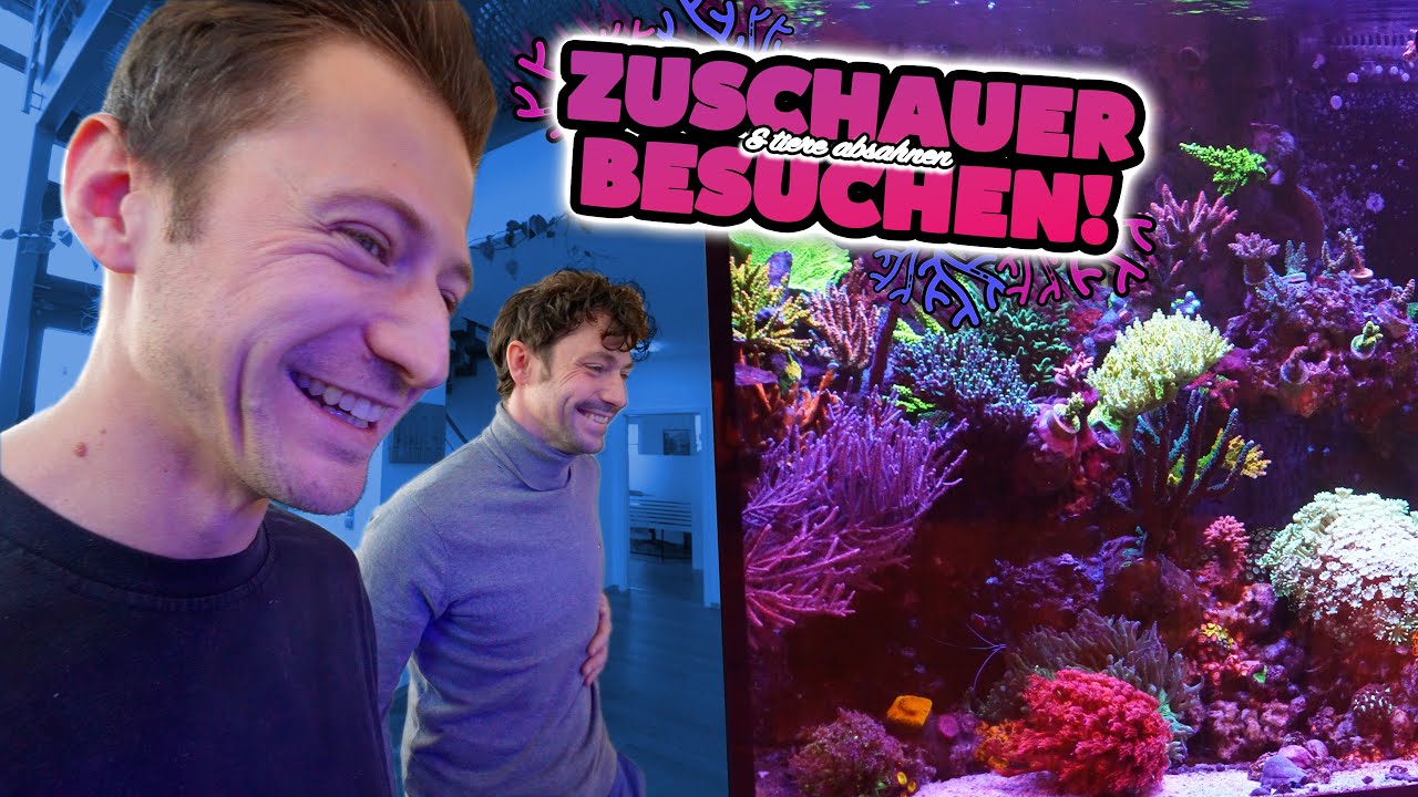 ZUSCHAUER schenken mir KORALLEN! 😲