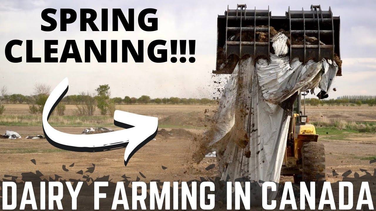 Cleaning a Massive Mess on our Dairy!