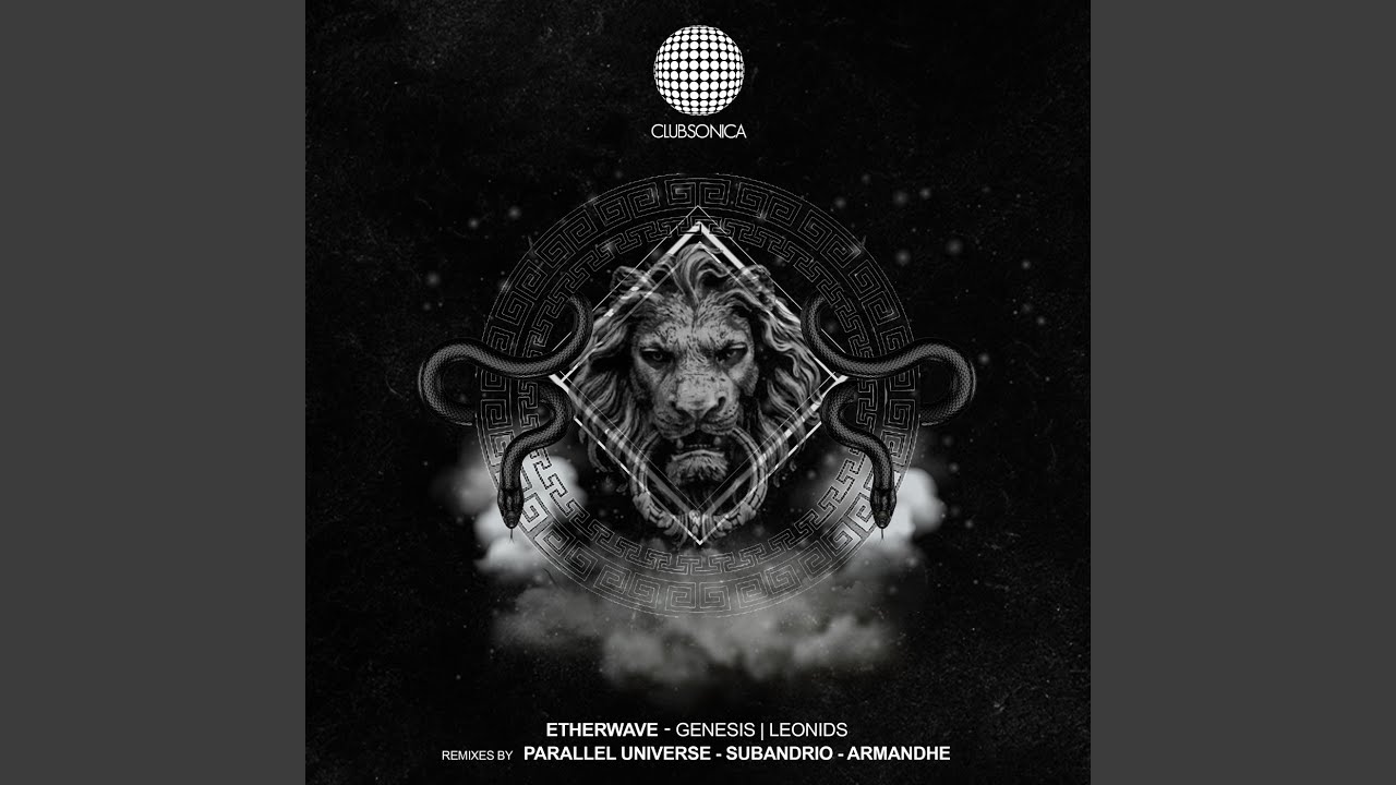 Leonids (Armandhe Remix)