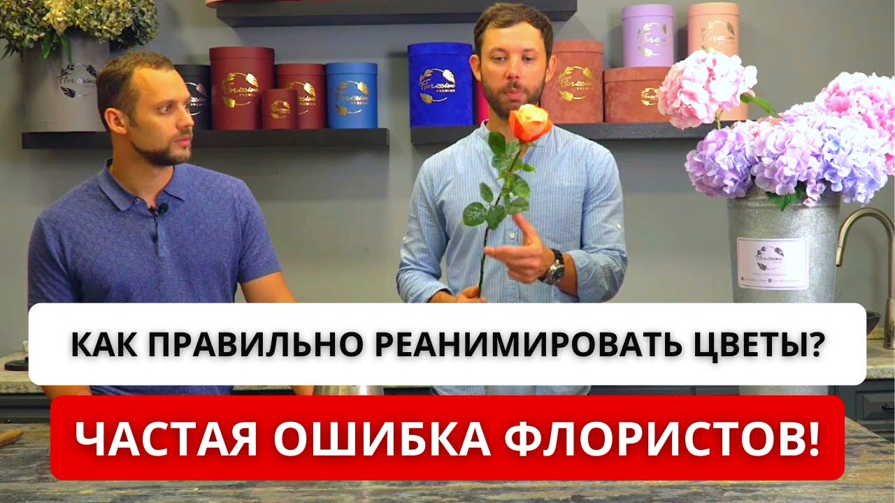 ❗️ ЕСЛИ ЗАВЯЛИ ЦВЕТЫ?! Как правильно реанимировать Розу, Гортензию и другие цветы? Советы флористов.