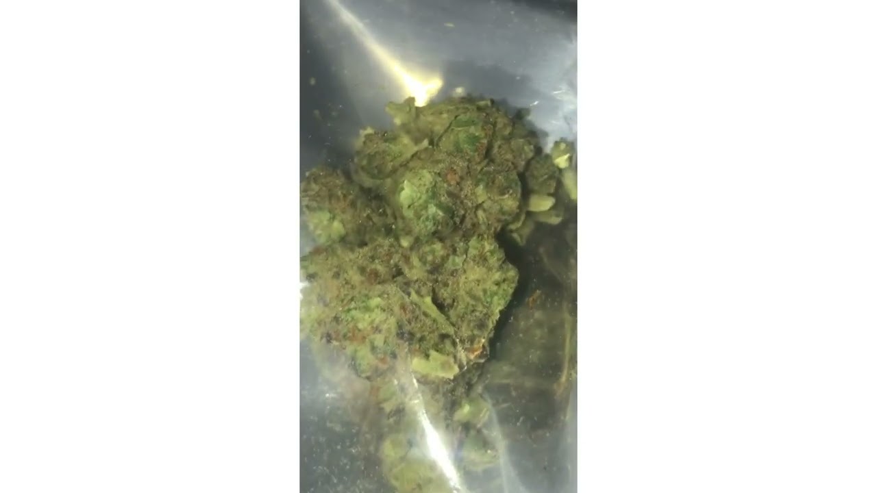 Sour Apple Gelato Strain Review ( SmkBrk420 )