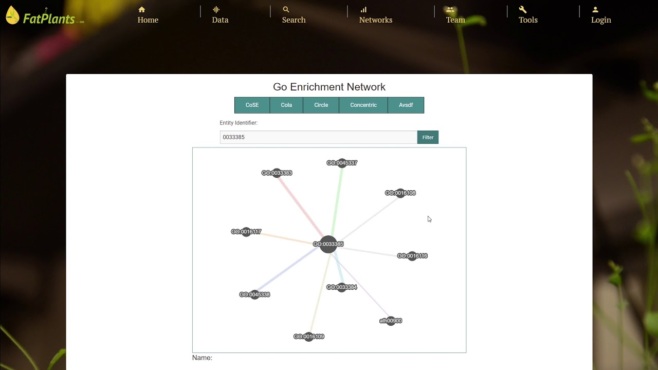 Fatplants - G.O. Enrichment Network