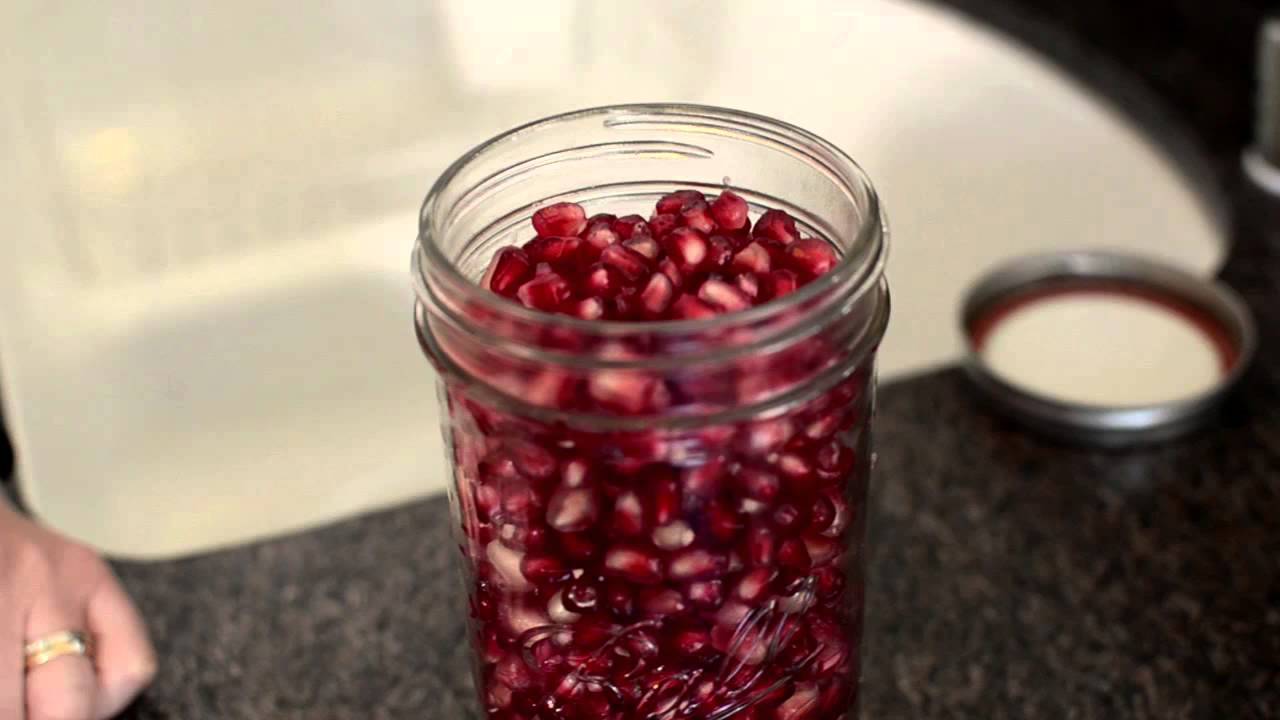 Pomegranate Ferment - Planet Worth Living