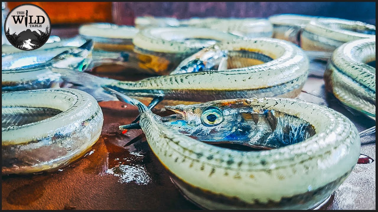 CATCH AND COOK PIPER/GARFISH