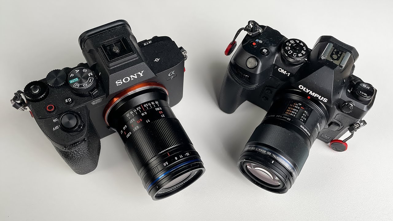 Sony или Olympus для макросъёмки? Я решил!