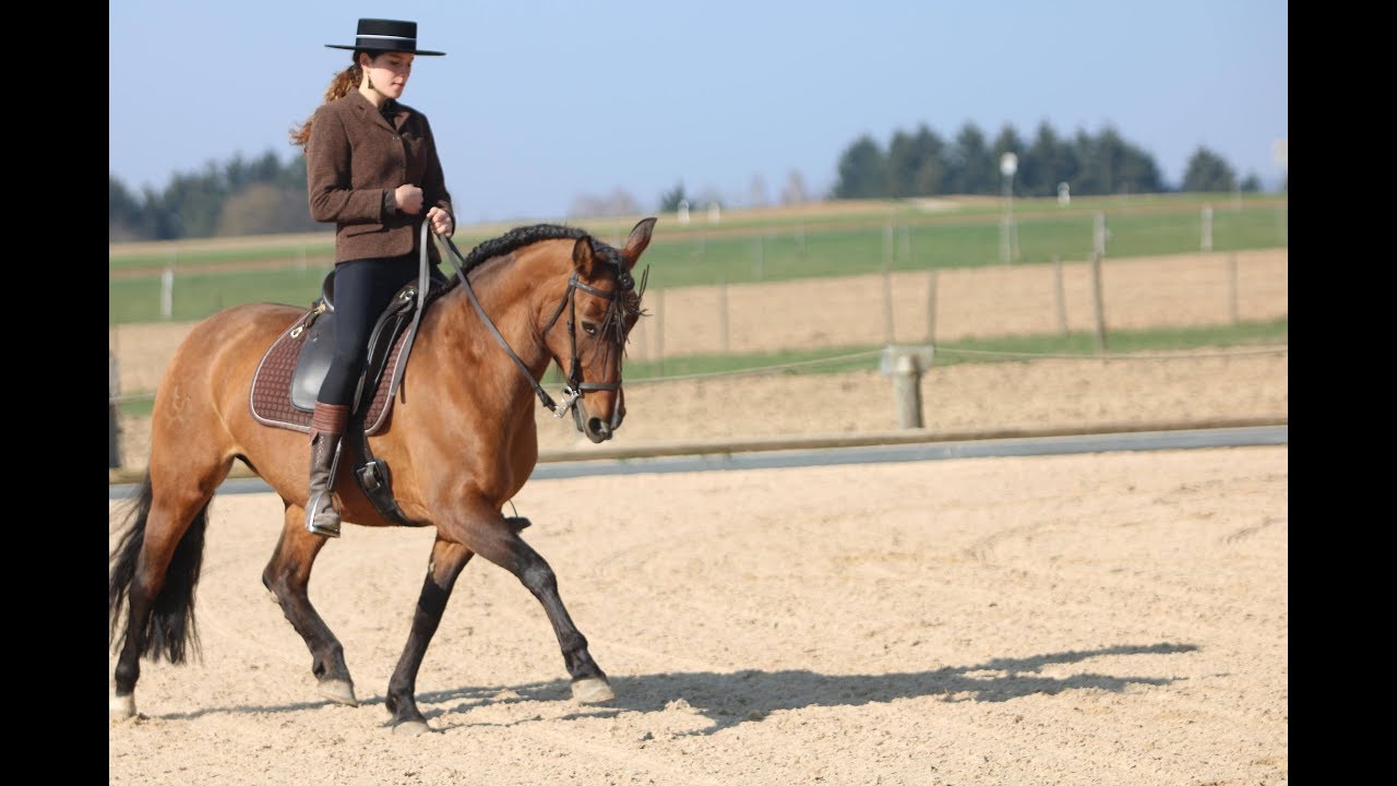 Garrocha training//Fantastica