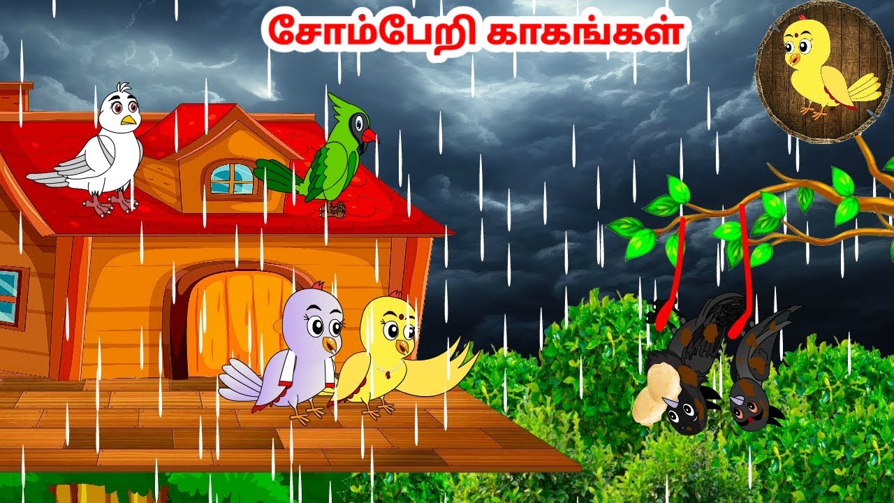 கார்ட்டூன் 13/12/24 | Feel good stories in Tamil | Tamil moral stories | Beauty Birds stories Tamil