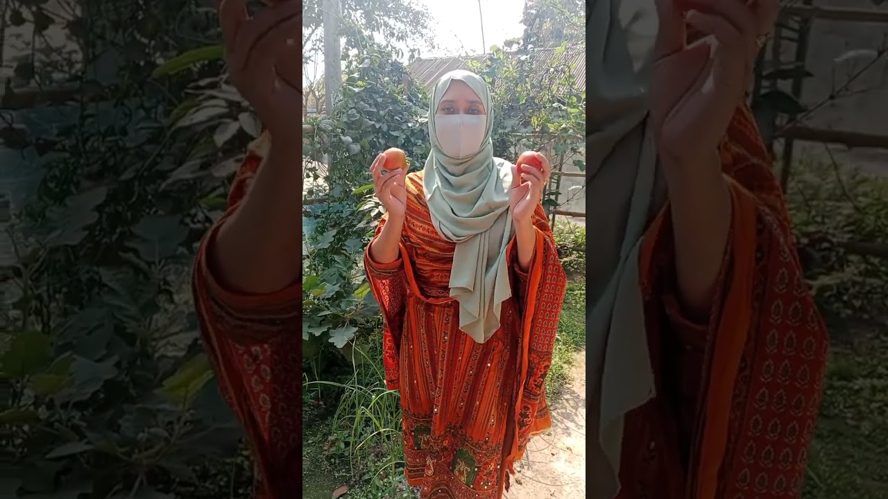 গ্রামের মানুষগুলো সহজ সরল এবং গ্রামের সবজিগুলো তরতাজা #santanarrannaghar #funny 