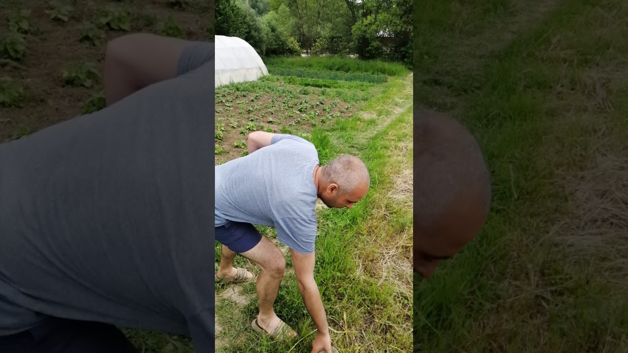 Cum sa gasesti apă