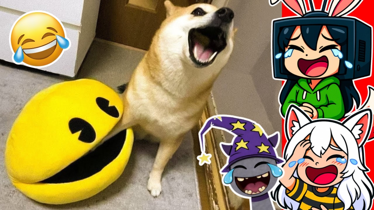 SI TE RIES 5 VECES PIERDES NIVEL ANIMALITOS 🤣😂 | sameeKG Reacciona