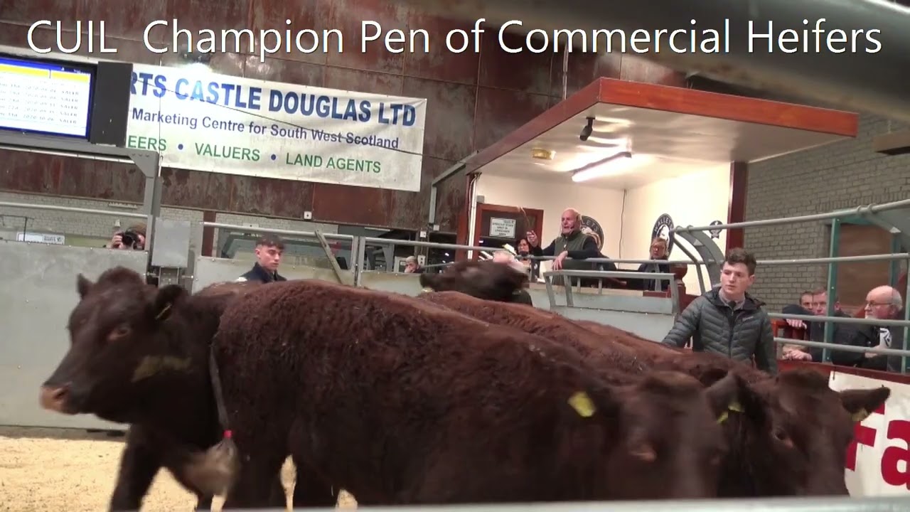 20211106114642  lot 70 Cuil Champion pen £2050