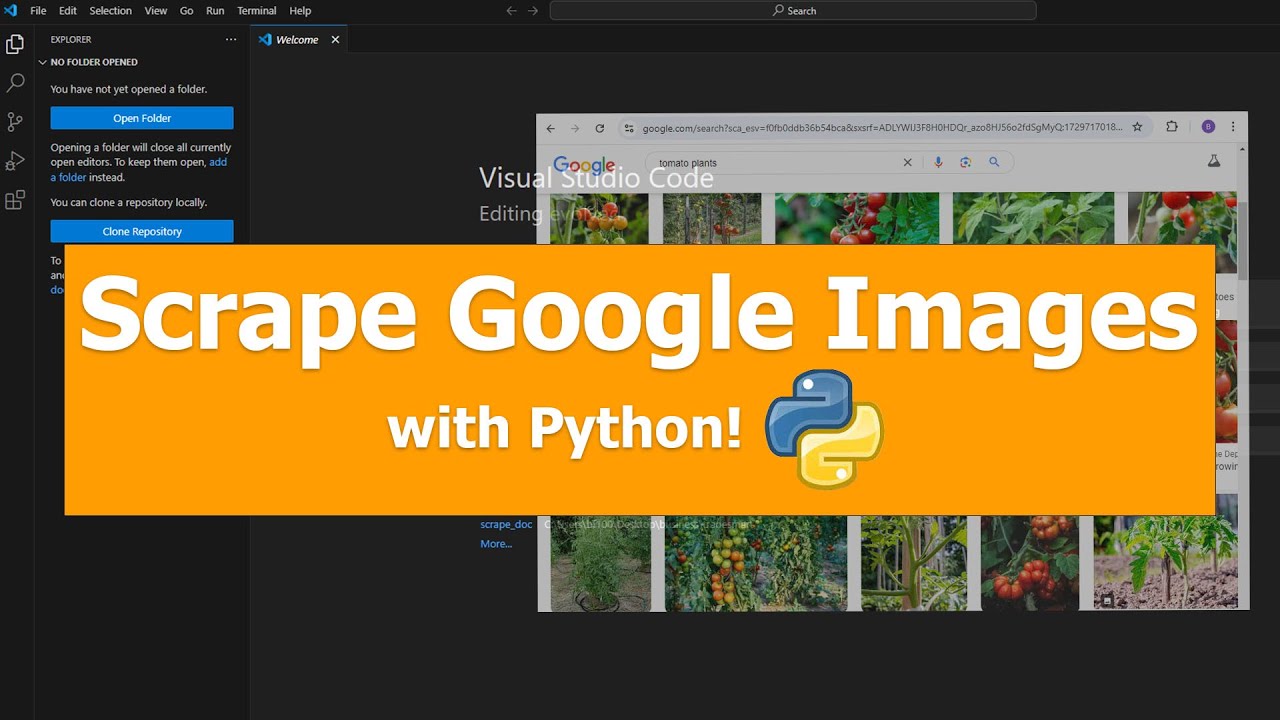 How to Scrape Images from Google with Python & Selenium | Step-by-Step Tutorial