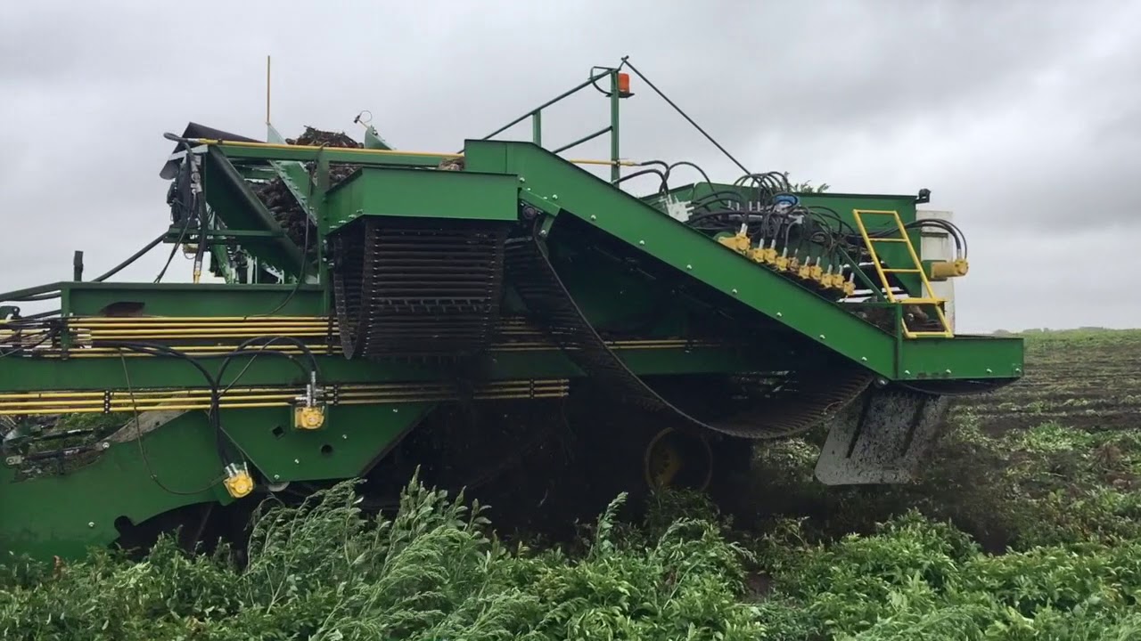 Dirty Diggers - Digging in the Mud