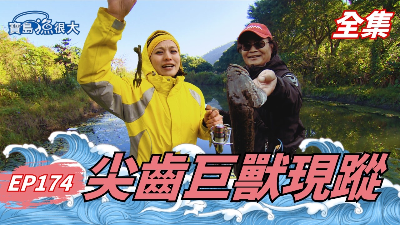 深潭巨鱸肆虐！罕見雷魚現蹤！| 寶島漁很大 | 全集