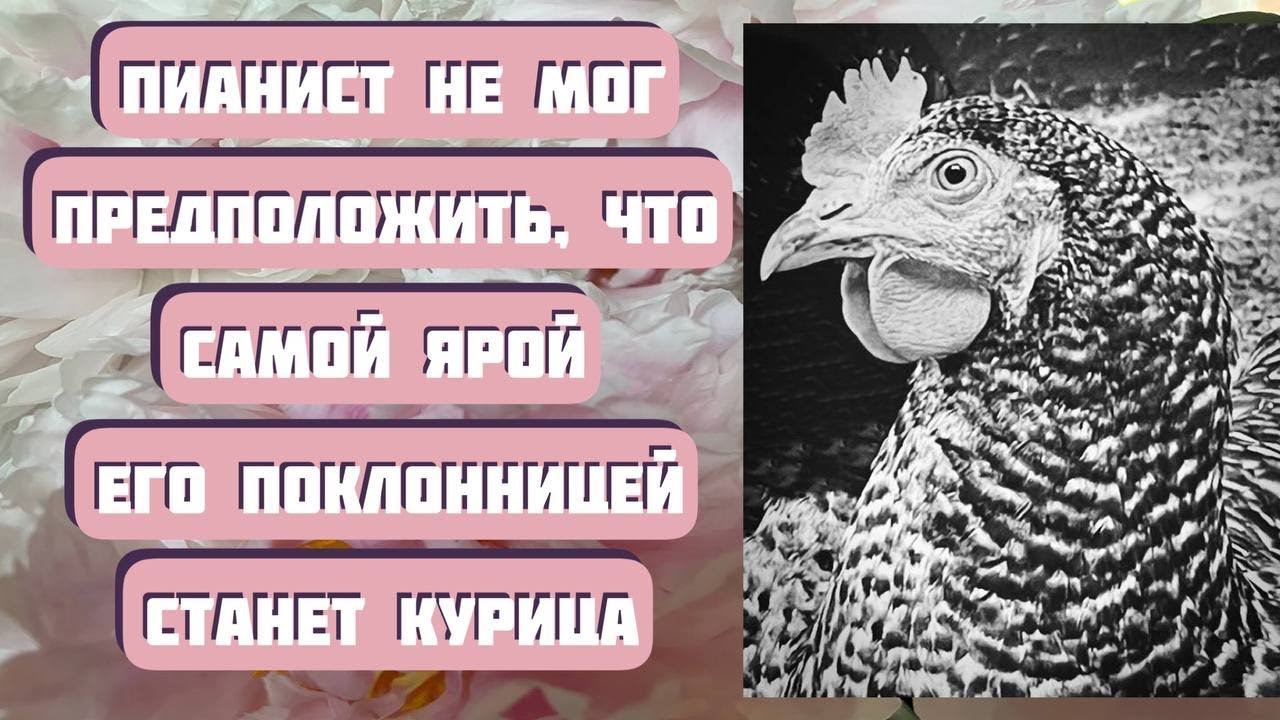 Легкий рассказ ПОКЛОННИЦА. Автор - Светлана Волкова, читает - Светлана Копылова