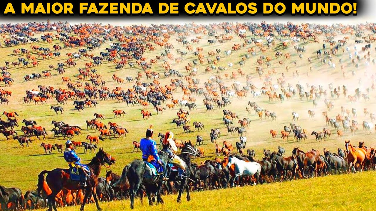 A MAIOR E MAIS ANTIGA FAZENDA DE CAVALOS DO MUNDO - INCRÍVEL!