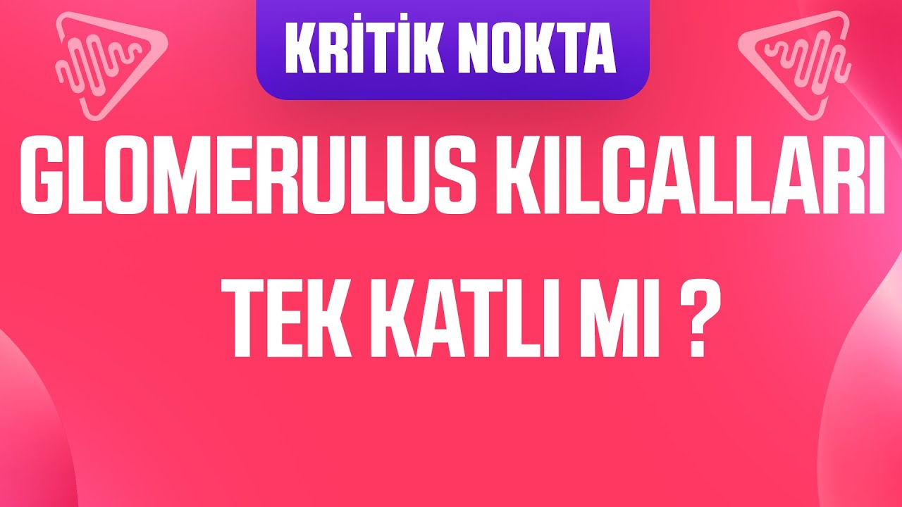 ÖSYM BOŞALTIM SİSTEMİ İLE İLGİLİ SORARSA BURALARDAN SORAR!