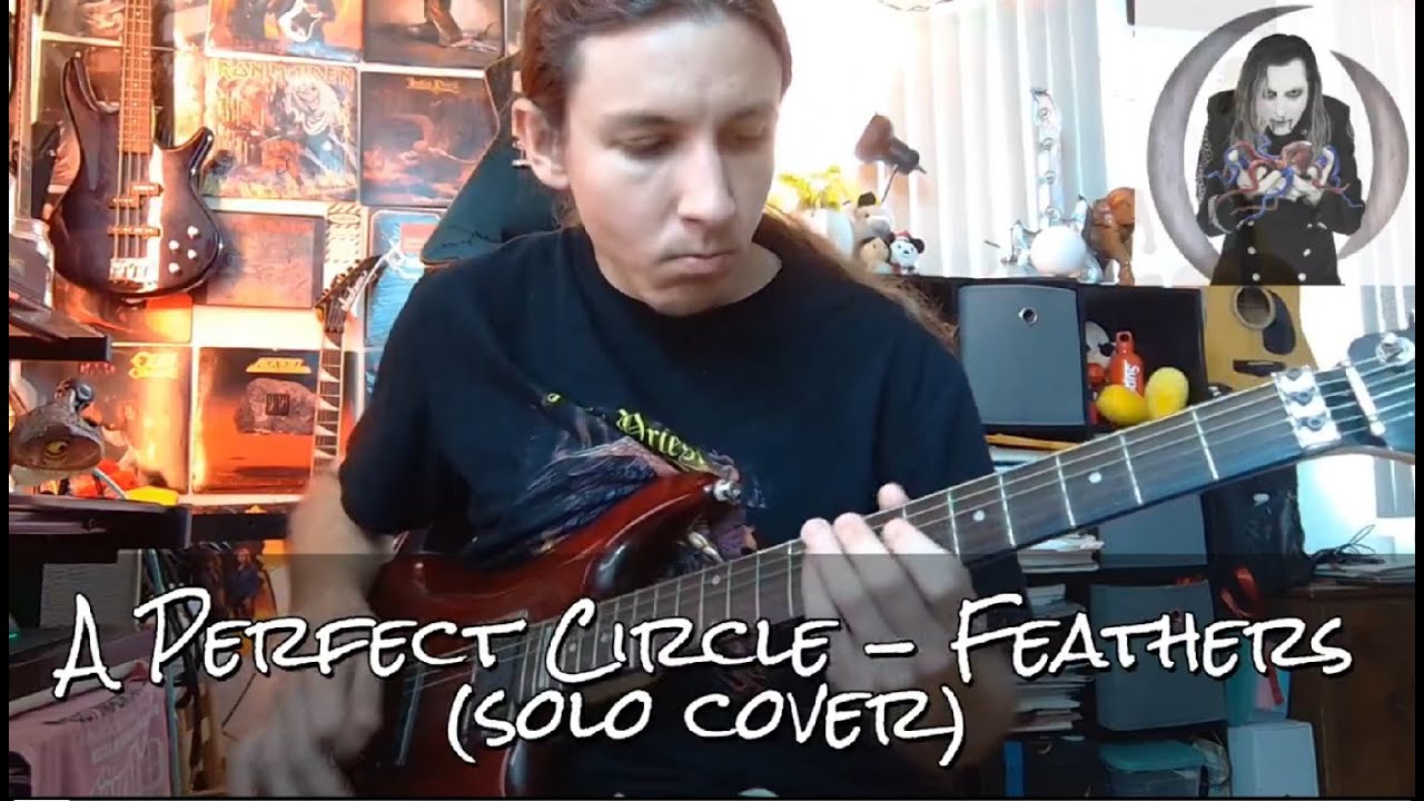 A Perfect Circle - Feathers (solo cover)