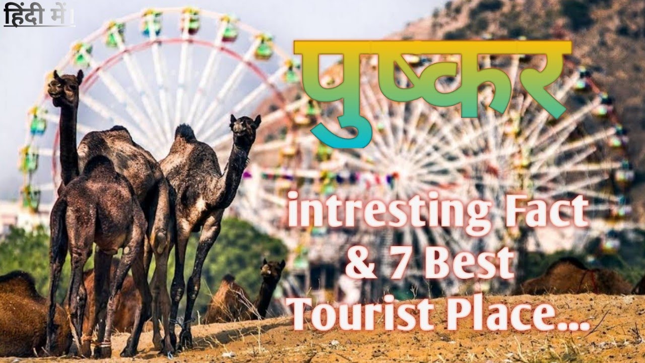 Pushkar tourist places in hindi.📍pushkar me ghumne ki jagah rajasthan tourism