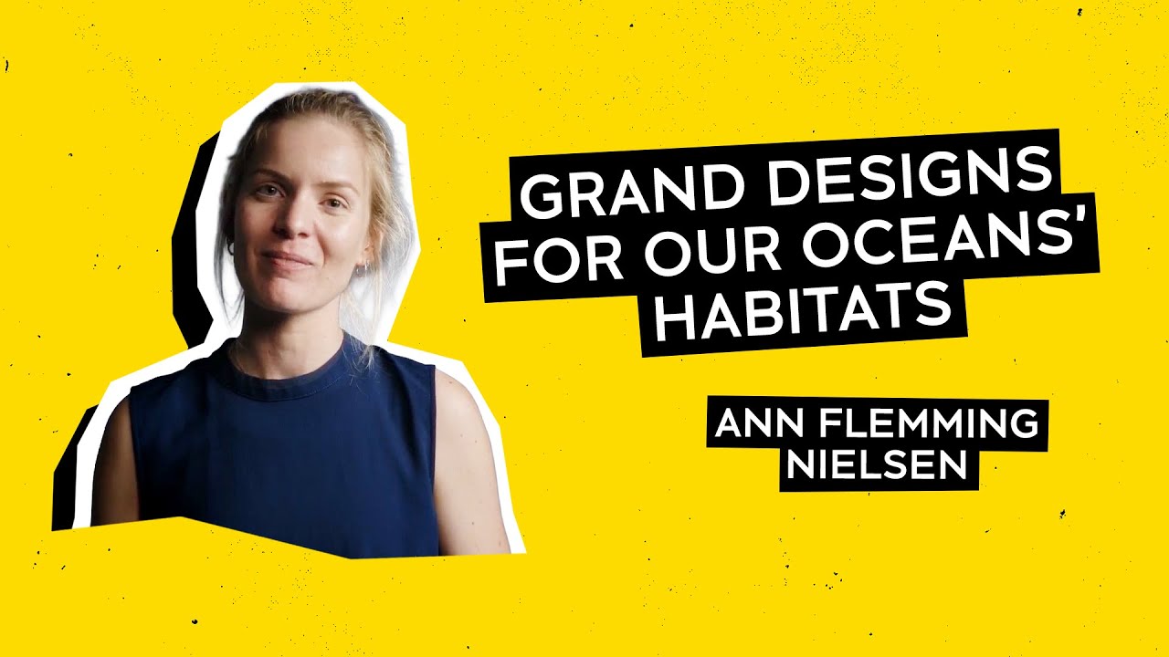 Grand Designs for our Oceans' Habitats with Ann Flemming Nielsen | One Big Idea