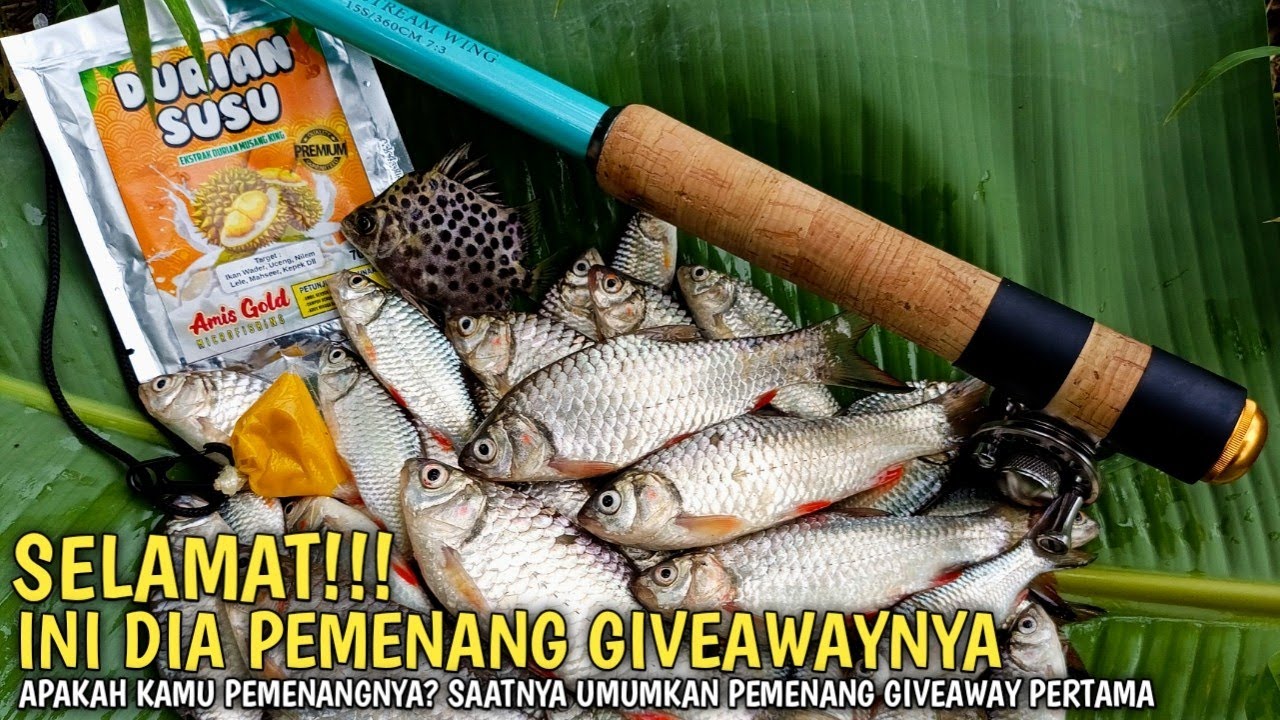 PENGUMUMAN‼️ INI DIA PEMENANG GIVEAWAY UMPAN WADER PALING AMPUH 🎣🔥