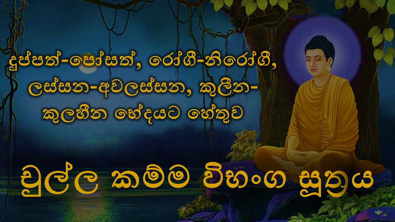 චුල්ල කම්ම විභංග සූත්‍ර දේශනය | Chulla kamma Vibhanga Sutta | කර්මය