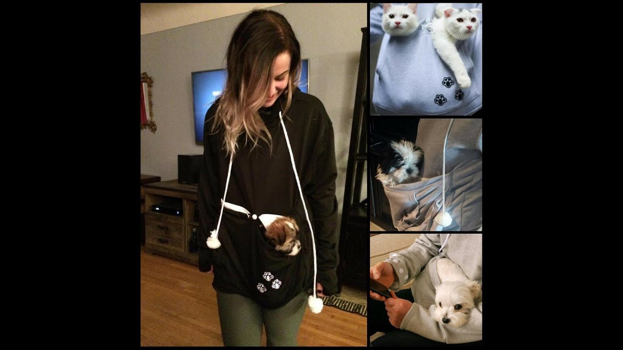 Top 6 Cats Apparel And Clothes | Amazon | Ali Express | Video | Review