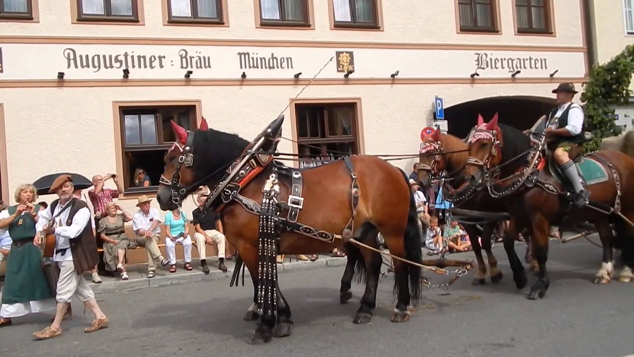 Historischer Wolnzacher Festumzug 2014 komplett HD