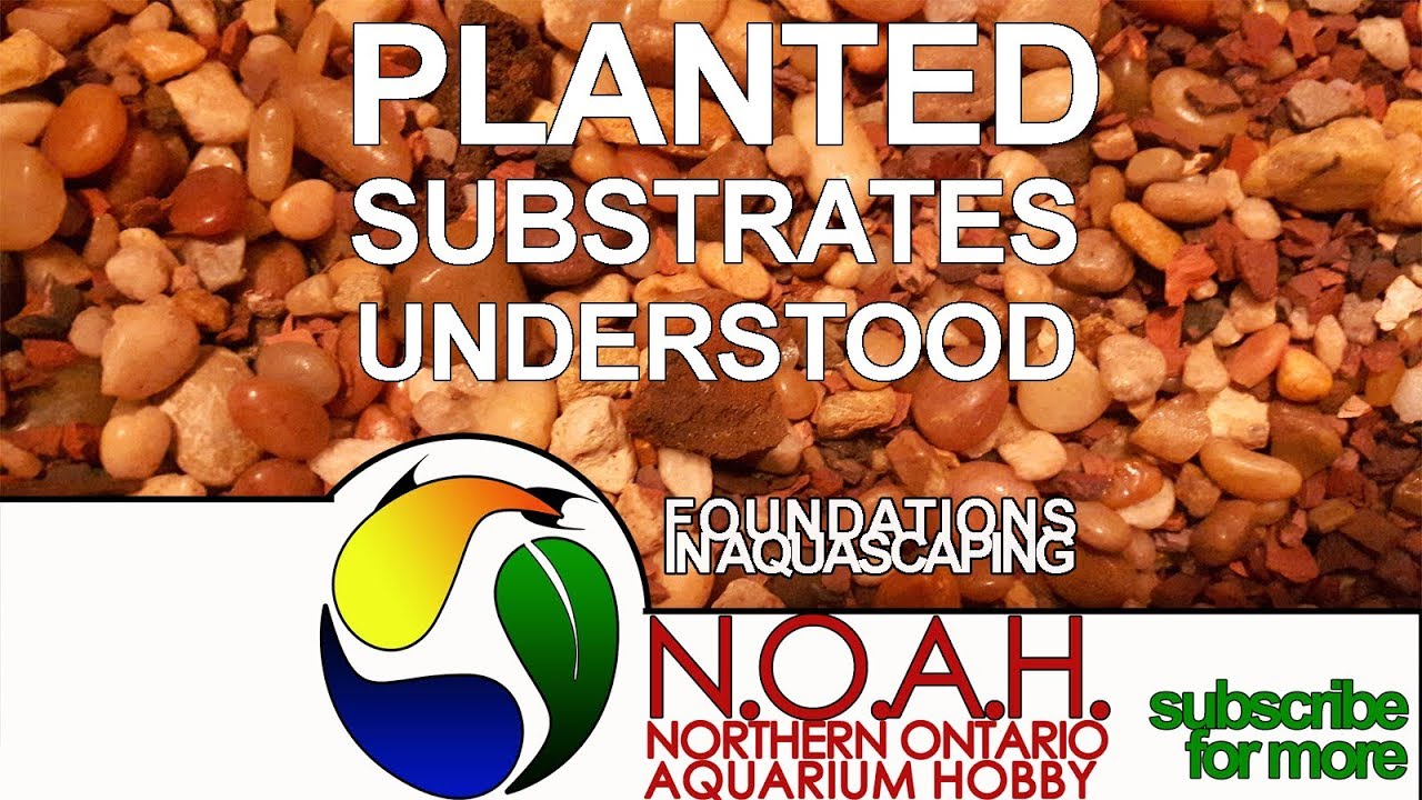 Planted Aquarium Fish Tank Substrates Understood 🌿 Foundations in Aquacaping