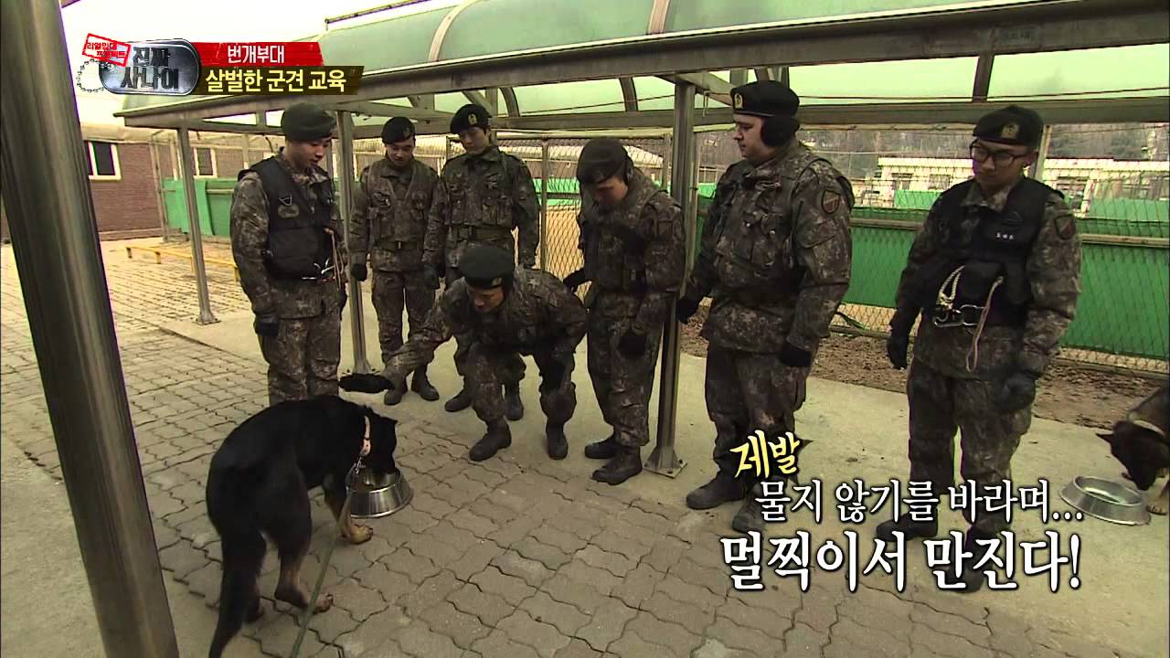 진짜 사나이 - 군견 교육 '복종훈련' 류수영 일병과 파이터 비상이의 살~벌한 애정싸움! '犬판 사랑과 전쟁' 결과는~?, #18 EP43 20140202