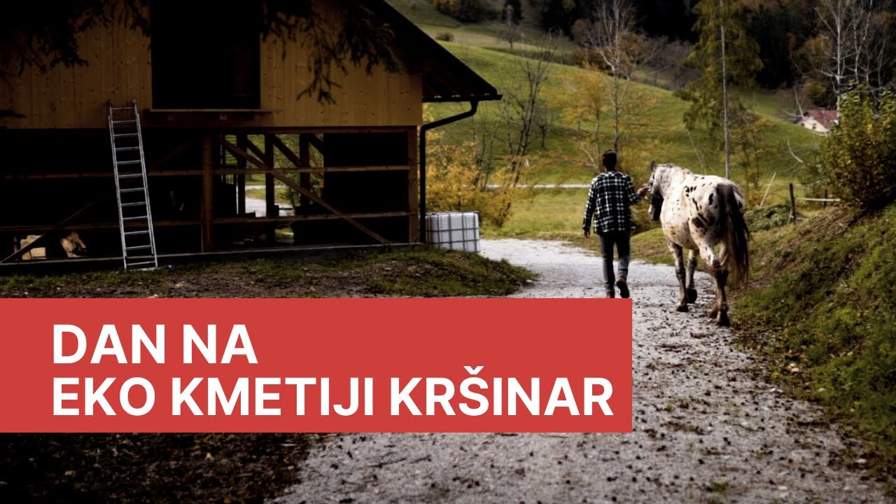 Dopoldne na Golici - Obisk Eko kmetije Kršinar