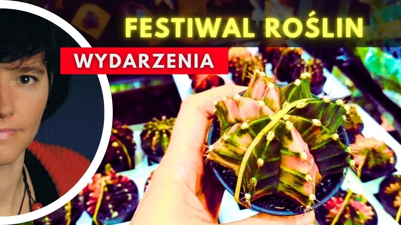 Wielki Market Roślin KRAKÓW 2024 🌼 #nature_a