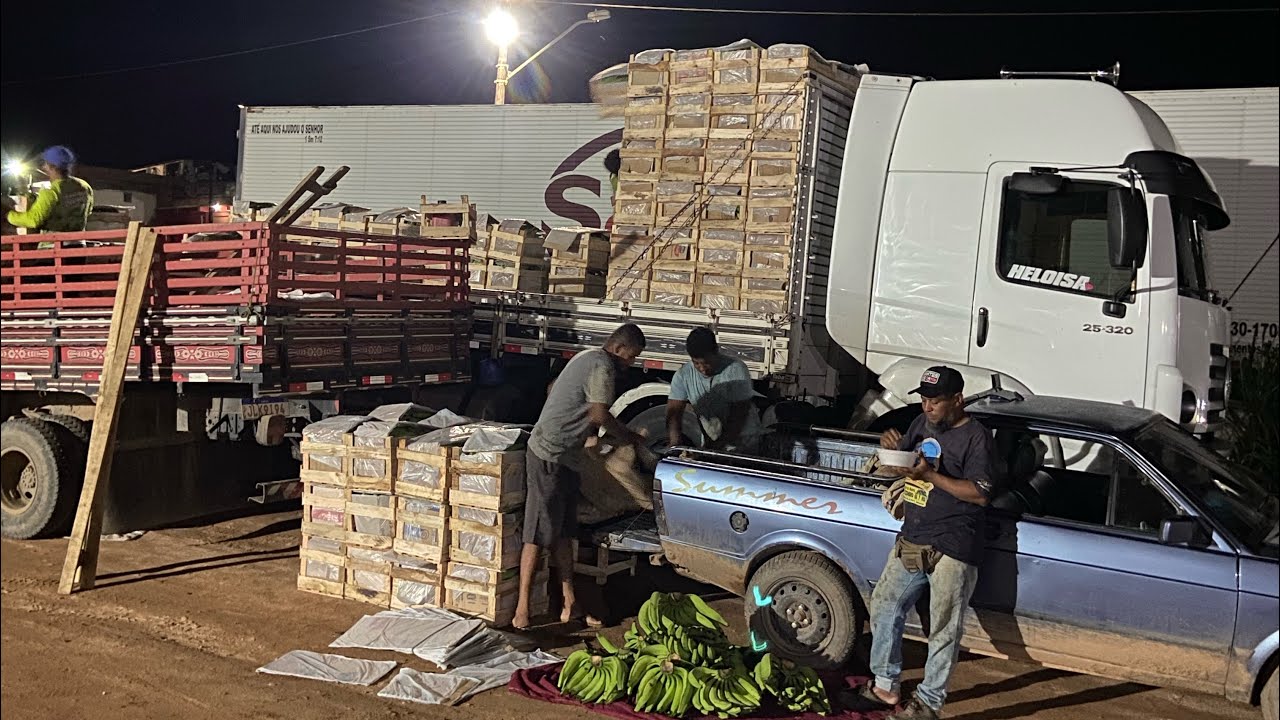 CARREGANDO BANANA NA BAHIA, DEU UM CARGÃO 😍