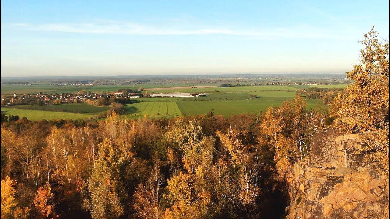 Dübener Heide - Impressionen