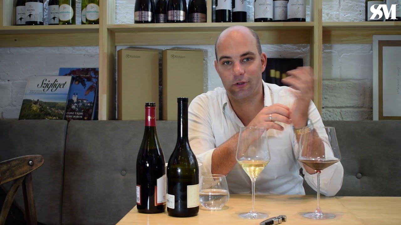 Szik Mátyás - Háromszoros magyar bajnok sommelier vlogja 03: A kóstolás alapjai