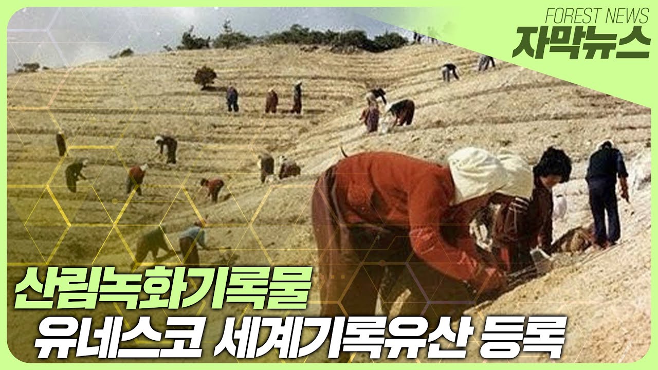 [4월 산림뉴스] 산림녹화기록물 유네스코 세계기록유산 등재