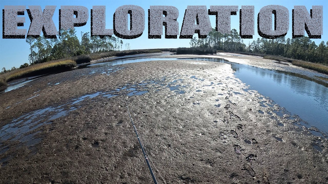 Exploring the marsh at negative tide searching for redfish #fishing #redfish #florida #kayakfishing 