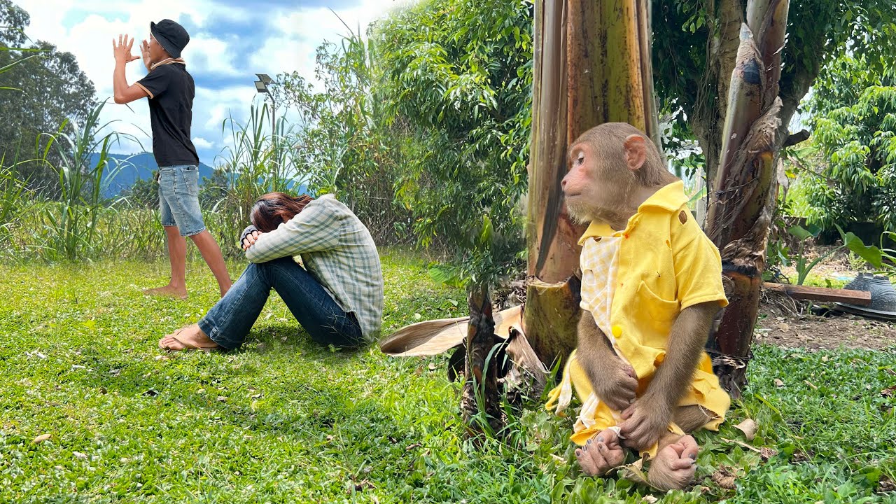 CUTIS Sad Leave Home Find Goat Make Parents Panic Worry