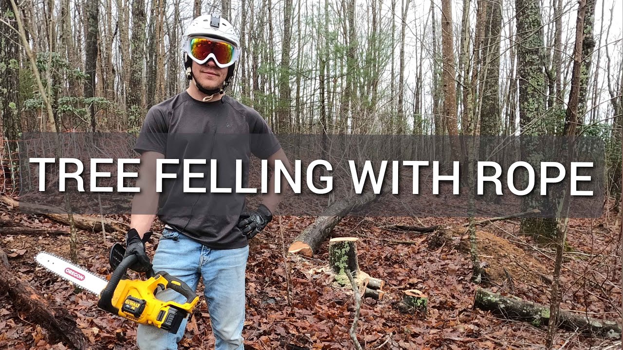 Strand Farm | Tree Felling with Rope