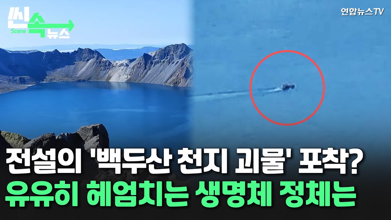 [씬속뉴스] 전설의 '백두산 천지 괴물' 포착? 유유히 헤엄치는 생명체 정체는 / 연합뉴스TV (YonhapnewsTV)