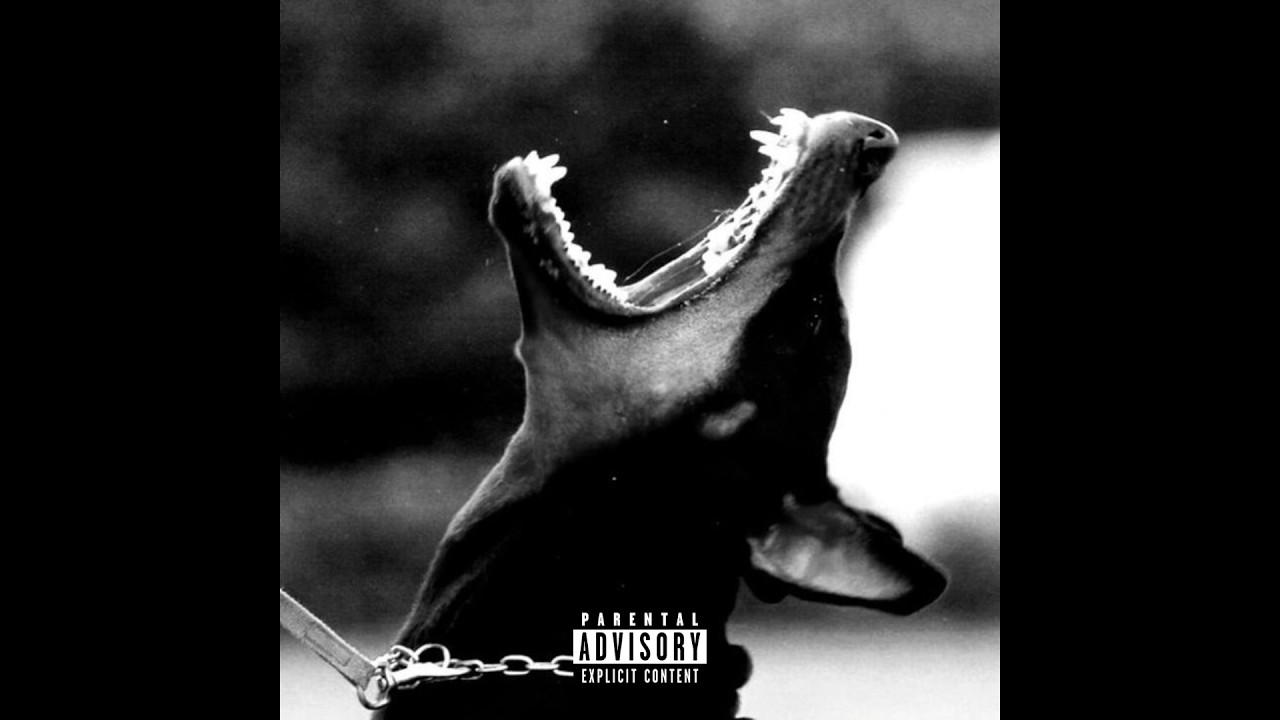 (FREE) 