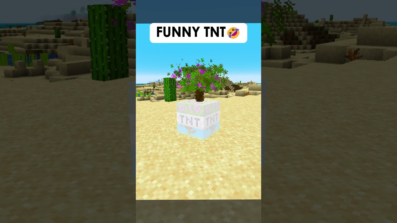 🤣FUNNY TNT vs DESTROYING TNT😱🧨#shorts #minecraft #tnt #tntmod