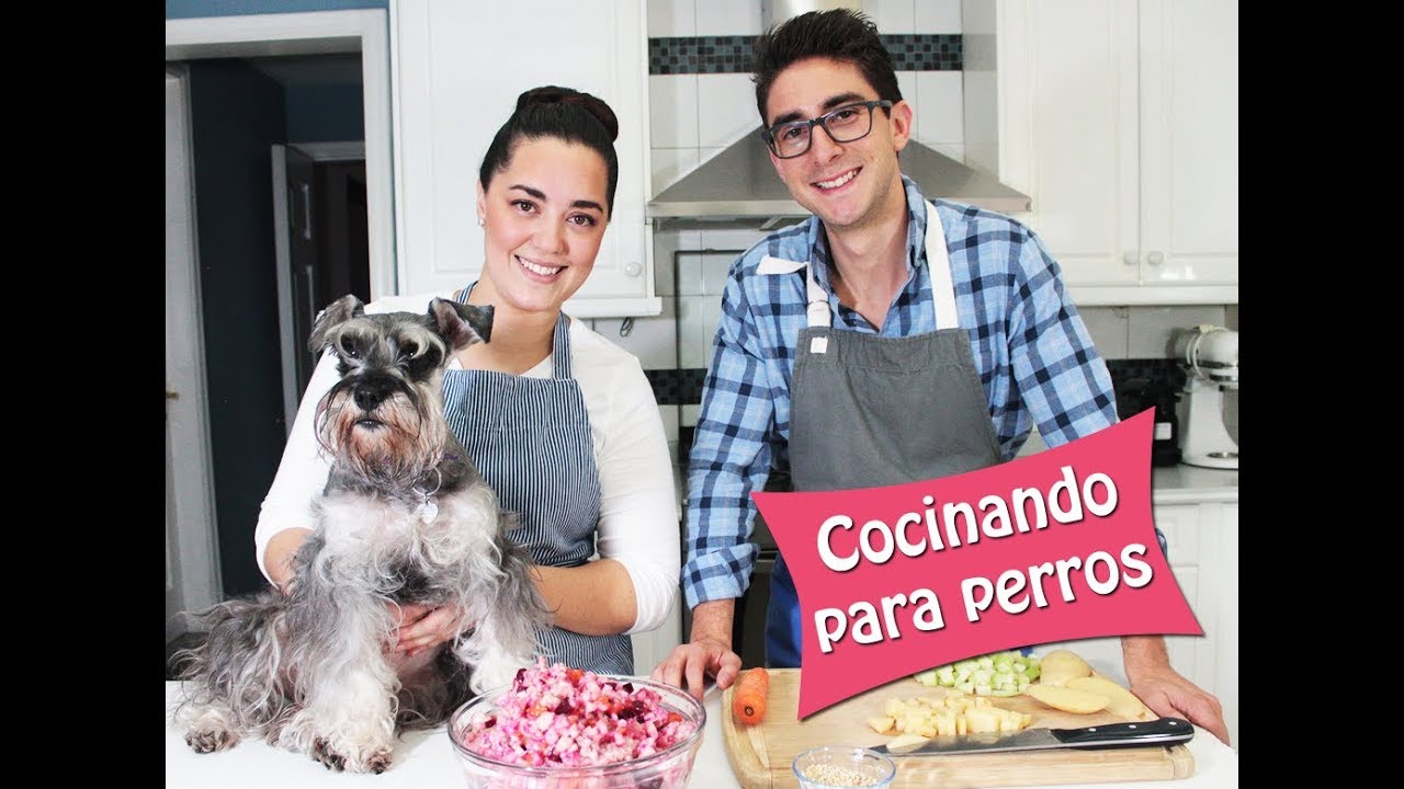 🐶 C&oacute;mo hacer Comida Casera para Perros [Consi&eacute;ntelo]  🐾