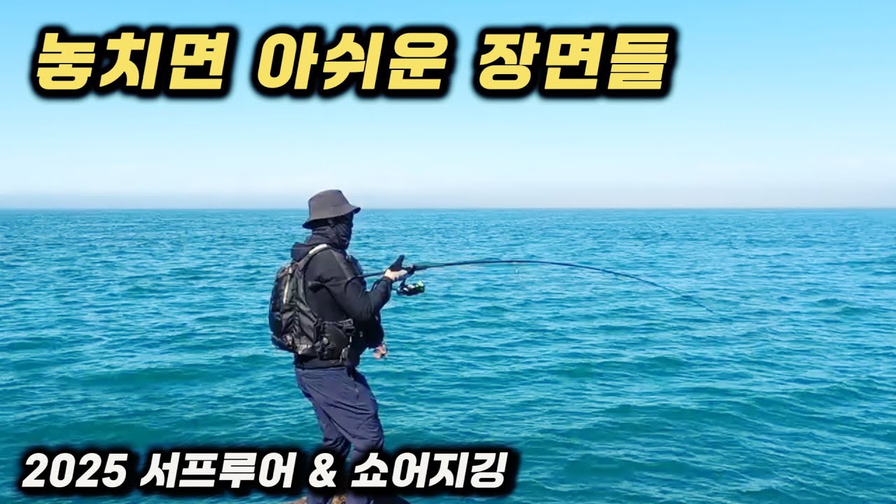 2025 서프루어 & 쇼어지깅 놓치면 아쉬운 순간들 모음