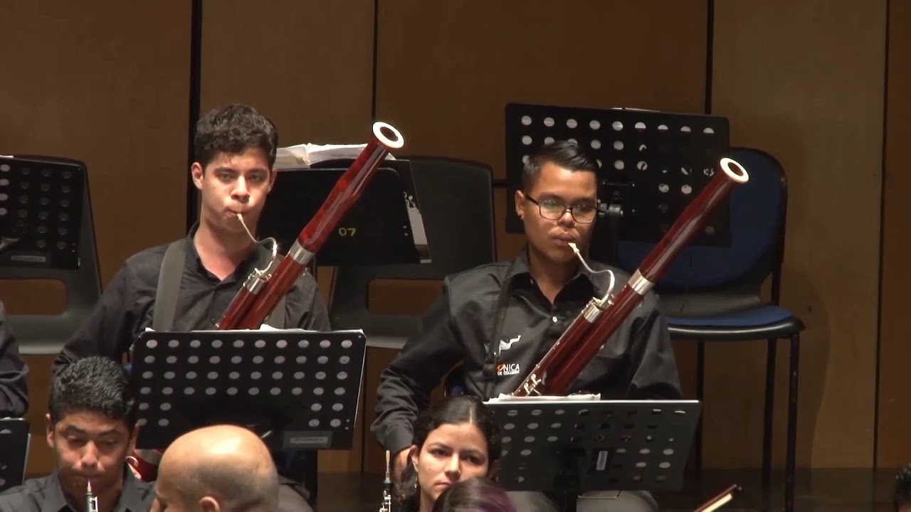 Brahms - Piano Concerto No.1 in D Minor, Op. 15 performed by Mauricio Arias-Esguerra