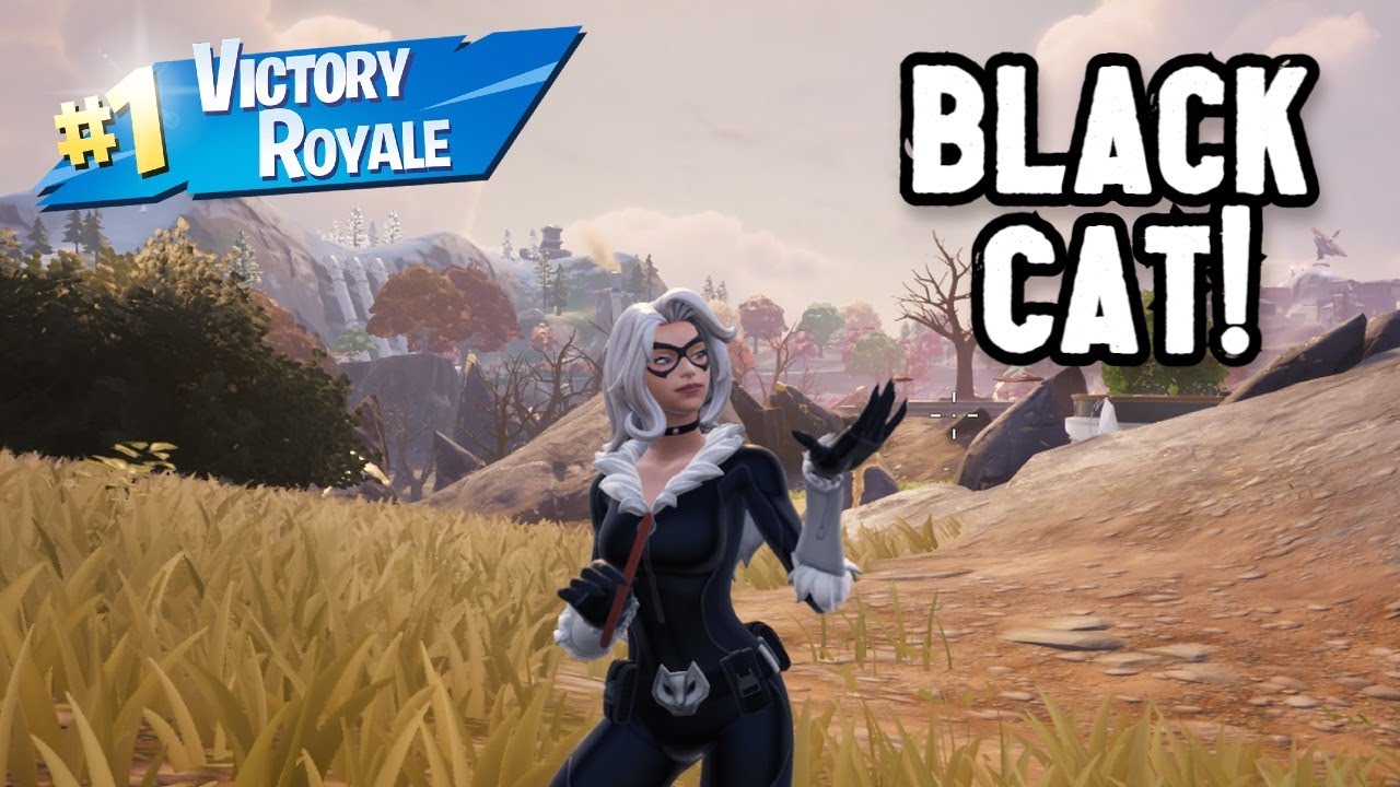 BLACK CAT Duo Win Gameplay! | Fortnite Battle Royale: Chapter 6 Season 3 No Builds