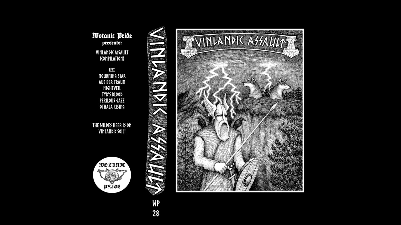 V/A - Vinlandic Assault (Compilation) [2025]
